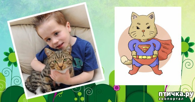 ���� 3: ��������� �����... ���))