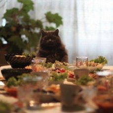 ����: ������ ��� ������...