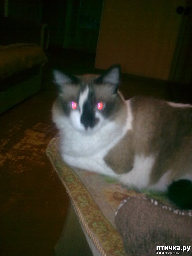 ���� 1: ��� ���-����.