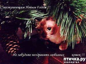 ����: � ����� �����!