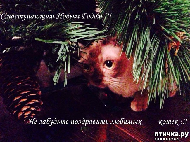 ���� 1: � ����� �����!