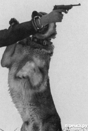 ����: ������ �� ������ ���� (����������� 4)