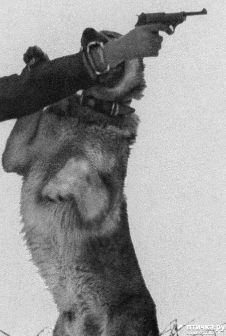 ���� 1: ������ �� ������ ���� (����������� 4)