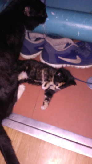 ����: �������� �������� �������������� ����� ������!