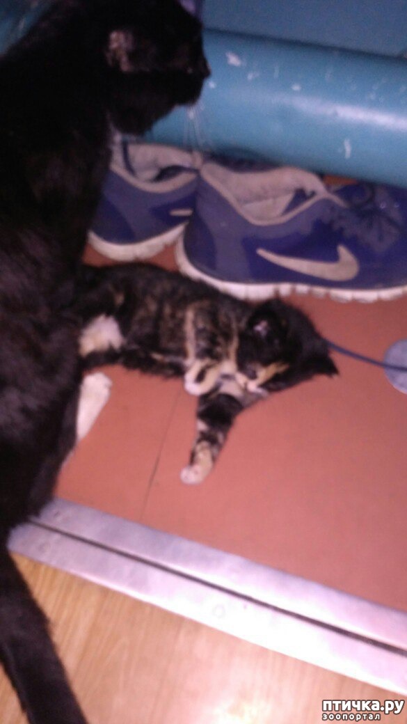 ���� 1: �������� �������� �������������� ����� ������!