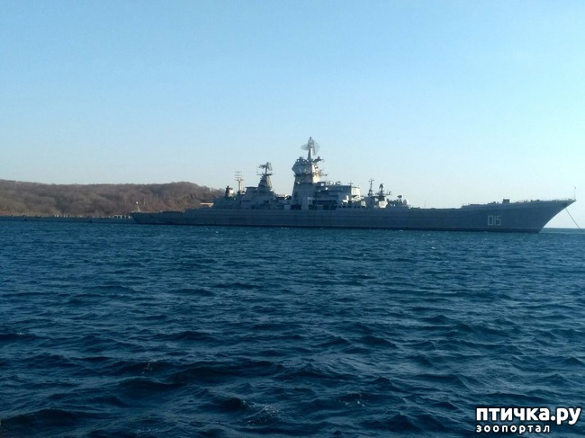 ���� 2: �������� �������� �������������� ����� ������!