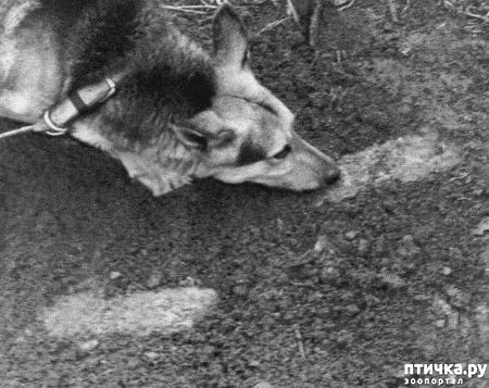 ���� 1: ������ �� ������ ���� (��������� �����������)