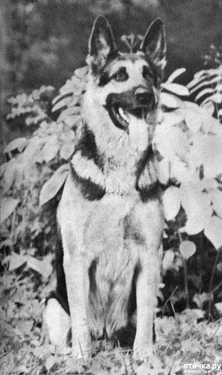 ���� 2: ������ �� ������ ���� (��������� �����������)