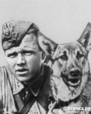 ����: ������ �� ������ ���� (����������� 5)