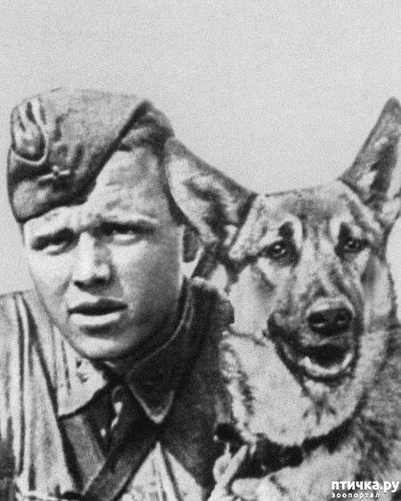 ���� 1: ������ �� ������ ���� (����������� 5)