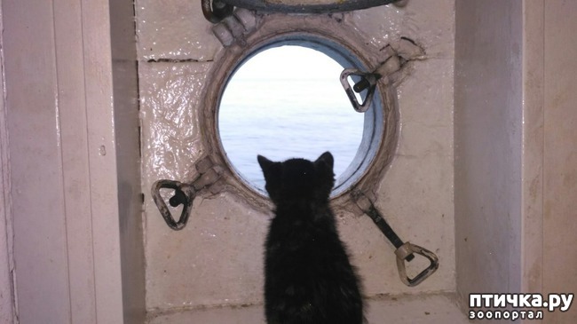 ���� 3: �������� �������� �������������� ����� ������!