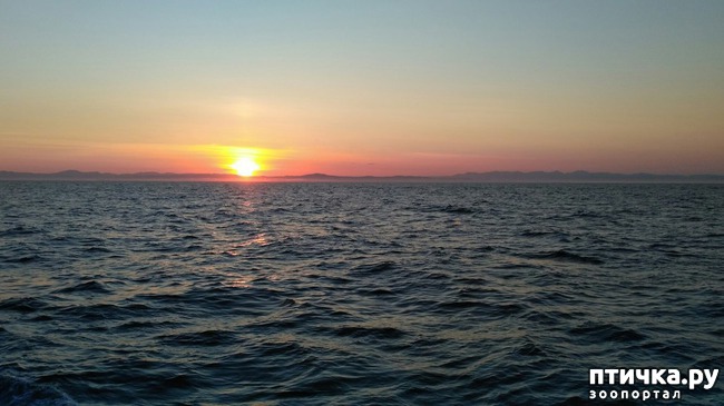 ���� 4: �������� �������� �������������� ����� ������!