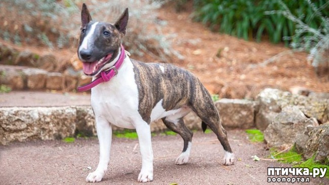 ���� 1: ������� ����������� �������