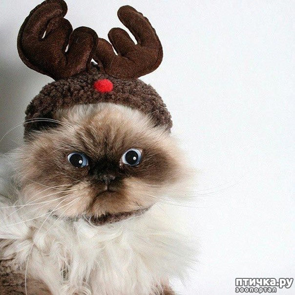 ���� 2: ���������, ����� ���