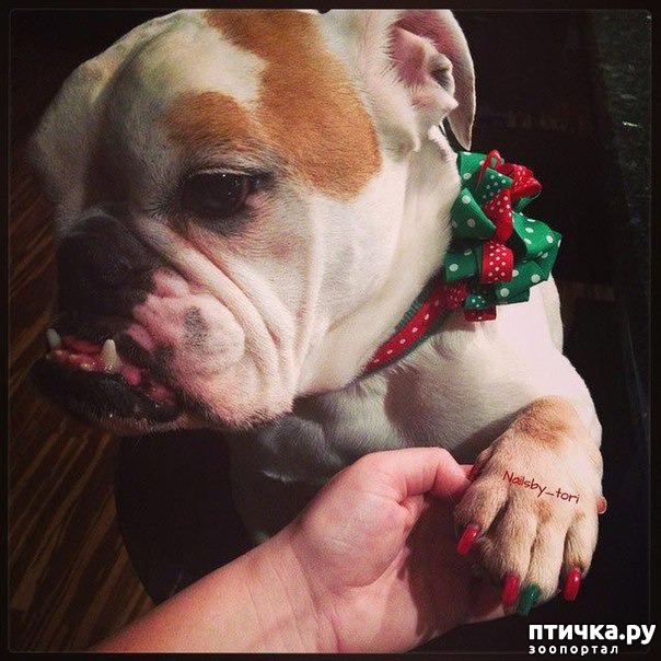 ���� 3: ���������, ����� ���