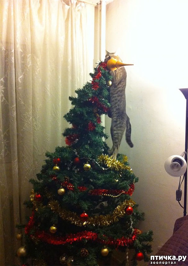 ���� 5: ���������, ����� ���