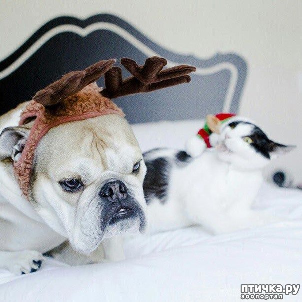 ���� 6: ���������, ����� ���