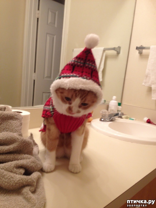 ���� 7: ���������, ����� ���