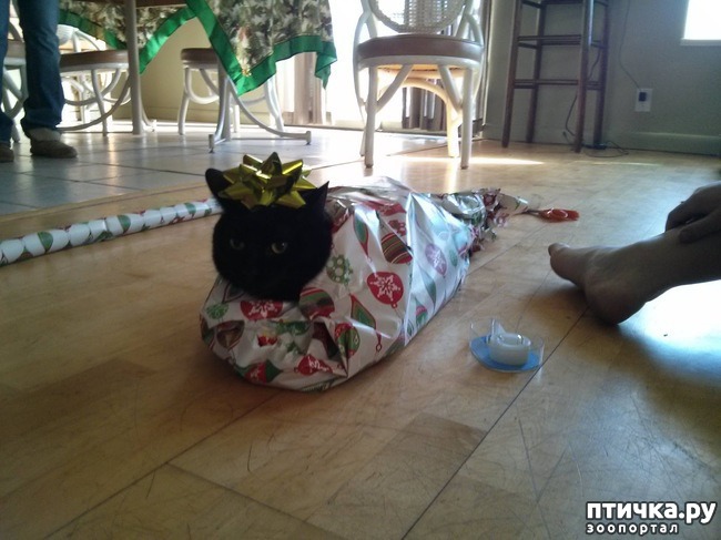 ���� 8: ���������, ����� ���