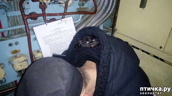 ���� 6: �������� �������� �������������� ����� ������!