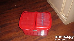 ����: ���������� ����� ��� ����