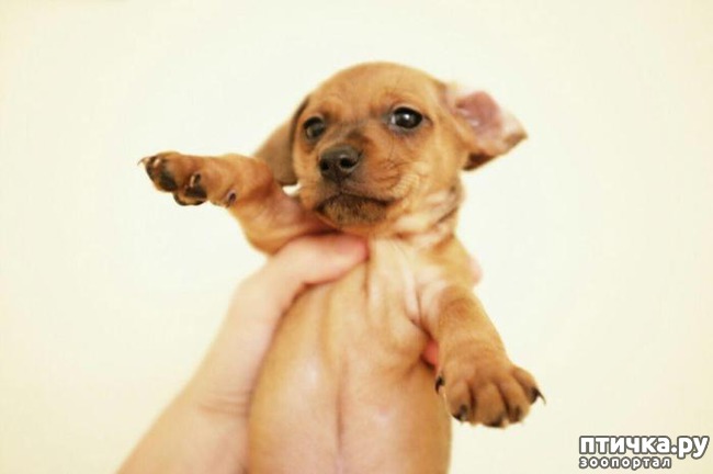 ���� 3: ��� ������� ����� ������)))