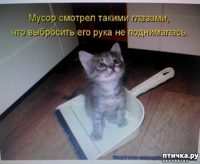 ���� 15: �����������, ��!