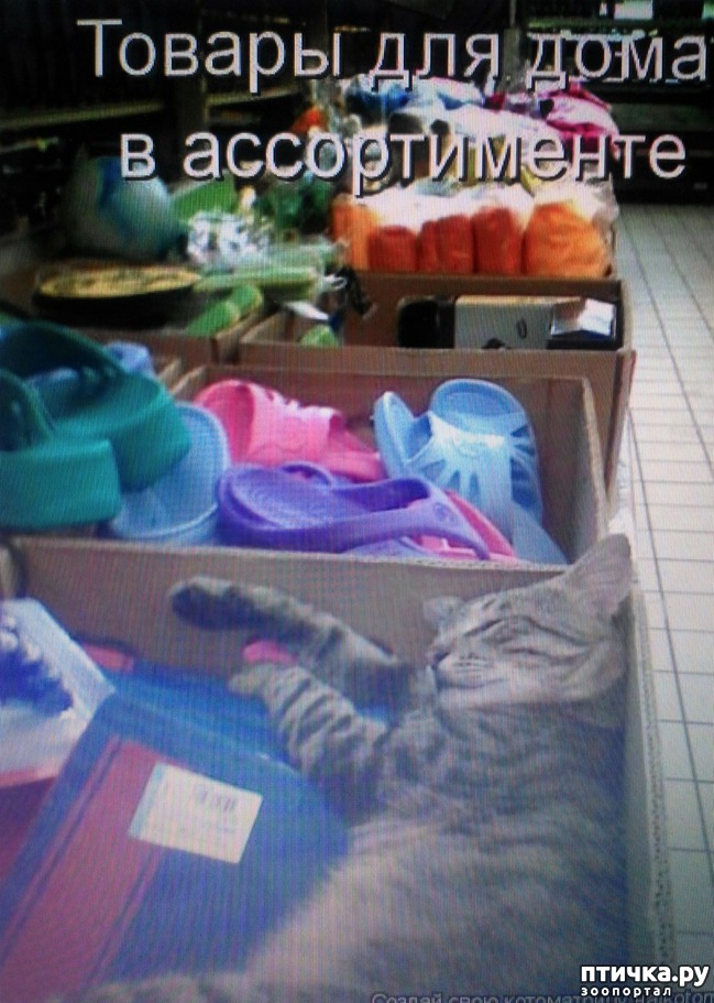 ���� 16: �����������, ��!