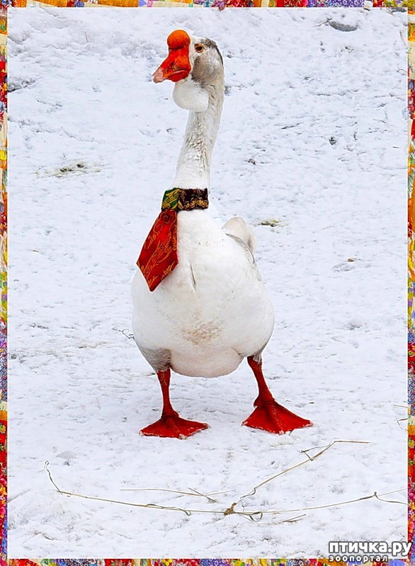 ���� 1: ������ ���� �������� (���� ����)