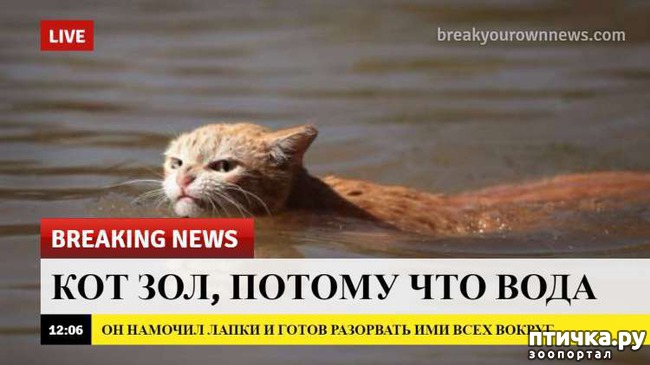 ���� 12: ������� ������� (������)