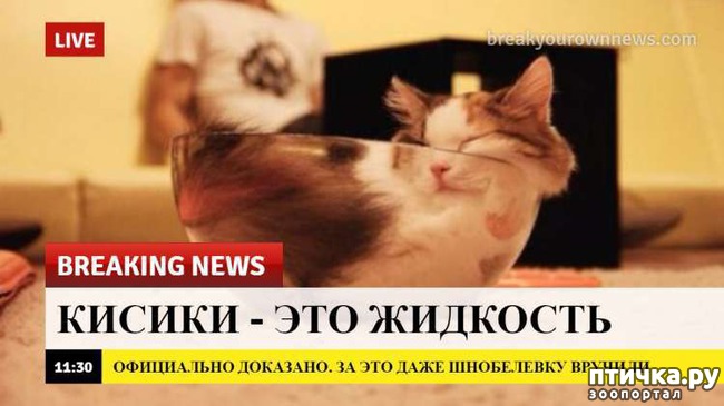 ���� 13: ������� ������� (������)