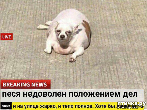 ���� 8: ������� ������� (������)