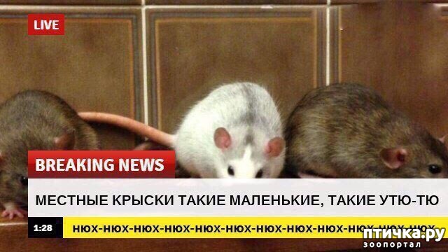 ���� 11: ������� ������� (������)