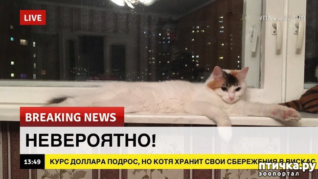 ���� 14: ������� ������� (������)