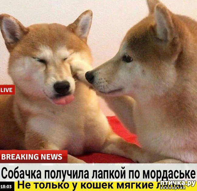 ���� 15: ������� ������� (������)