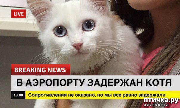 ���� 9: ������� ������� (������)