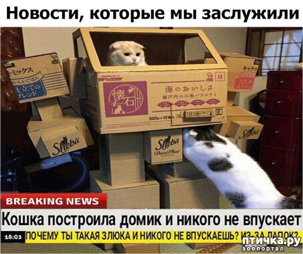 ���� 7: ������� ������� (������)