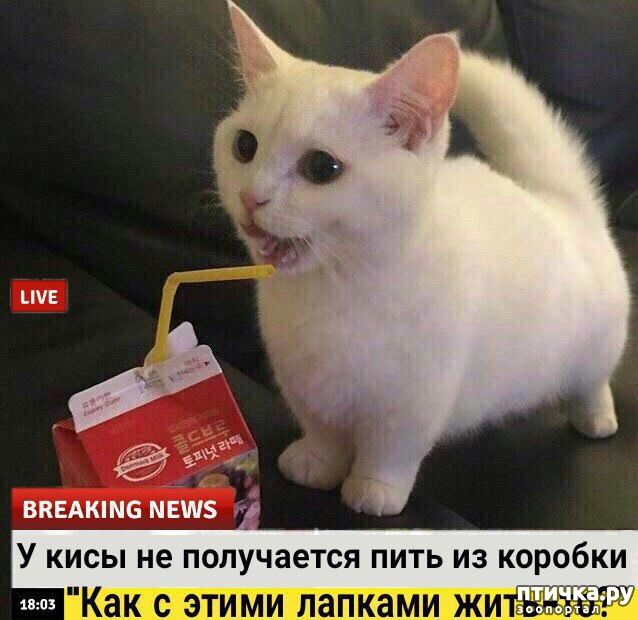 ���� 4: ������� ������� (������)