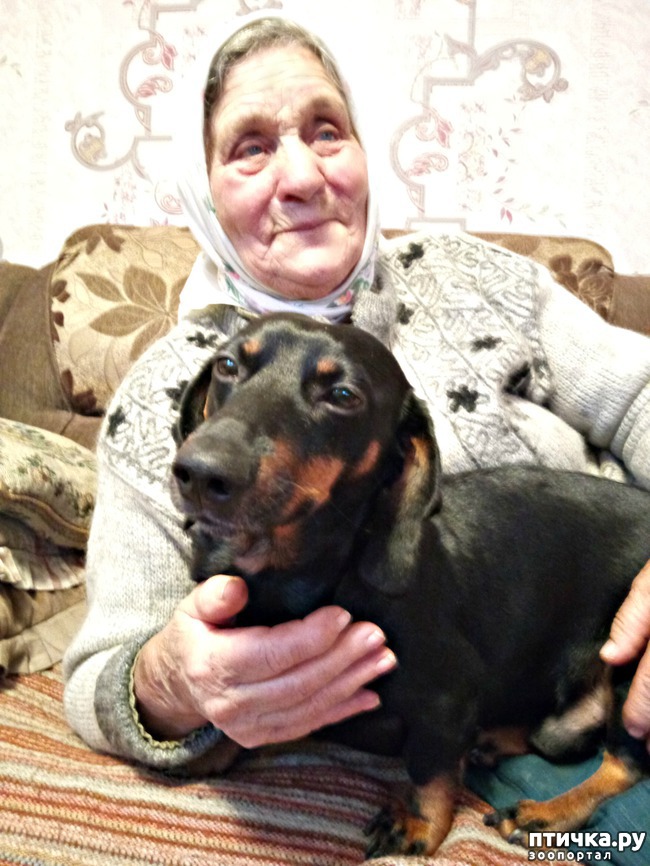 ���� 1: ���� ����������� 