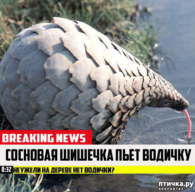 ���� 16: ������� ������� (������)