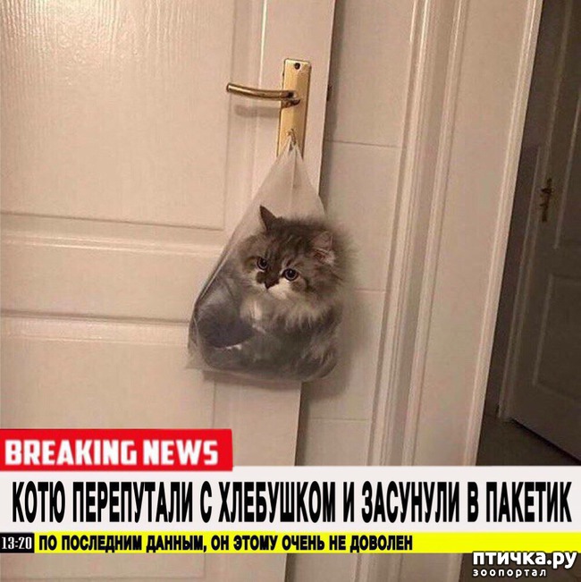 ���� 17: ������� ������� (������)