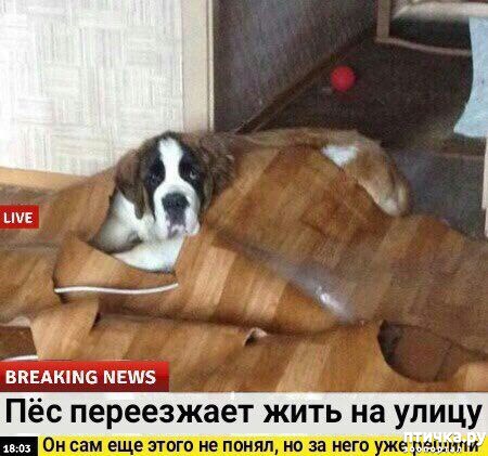 ���� 20: ������� ������� (������)