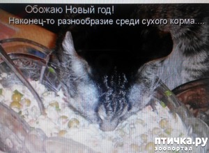 ����: �����������, ��!