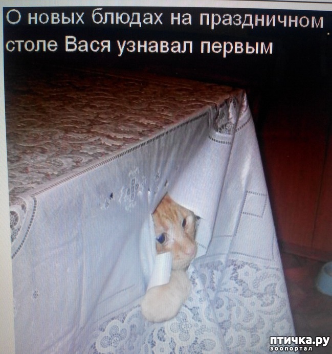 ���� 2: �����������, ��!