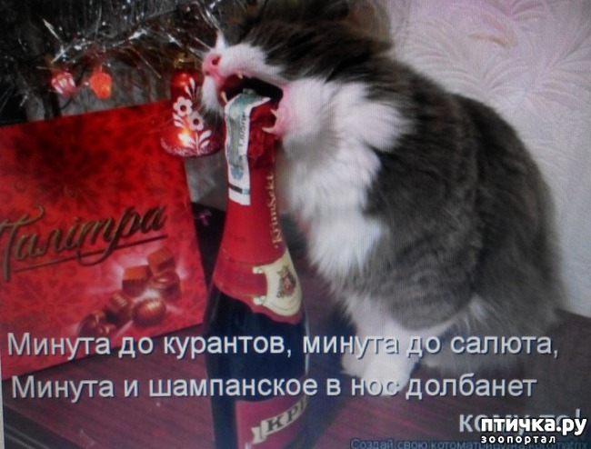 ���� 3: �����������, ��!