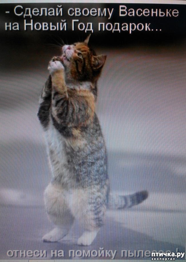 ���� 4: �����������, ��!