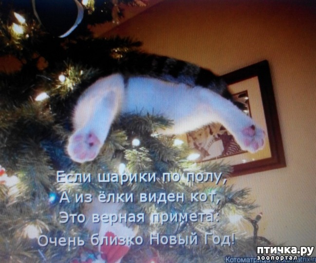 ���� 5: �����������, ��!