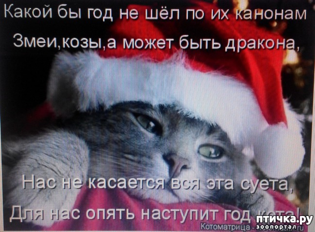 ���� 6: �����������, ��!