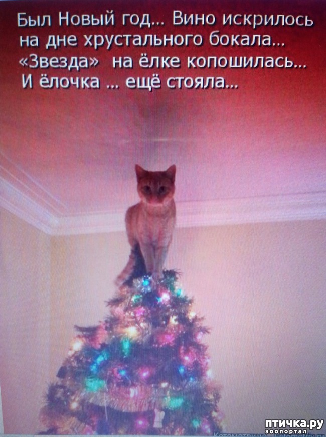 ���� 7: �����������, ��!