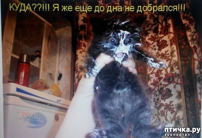 ���� 8: �����������, ��!